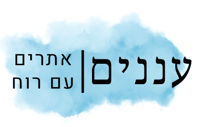 דוגמאות לעיצובי אתרים שנבנו בסטודיו עננים